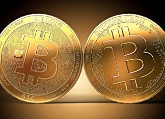 Bitcoin cash cos’è e come funziona