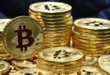 Cosa sono i bitcoin