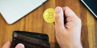 Guida gratis agli investimenti per principianti guida agli investimenti