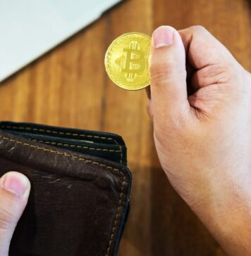 Guida gratis agli investimenti per principianti guida agli investimenti