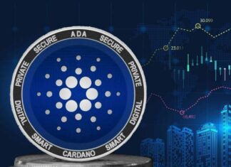 Ada Cardano per sviluppo applicazioni