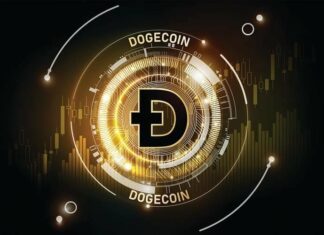 Dogecoin la criptovaluta nata per scherzo e diventata la più seria