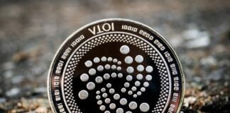 Iota conoscere questa criptovaluta