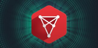 Chiliz il token per gli appassionati di sport