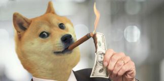 Doge Nft verrà condiviso in tantissime frazioni per chi volesse investire