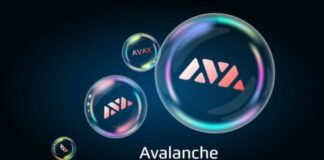 Avalanche piattaforma di smart contract per la creazione di DApp.