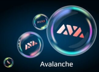 Avalanche piattaforma di smart contract per la creazione di DApp.