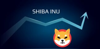 Shiba inu crypto la moneta virtuale che vale più di bitcoin