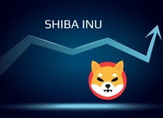 Shiba inu crypto la moneta virtuale che vale più di bitcoin
