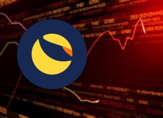 Terra usd la blockchain che permette la creazione di stablecoin