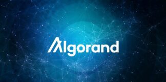 Algorand blockchain sostenibile per lo sviluppo delle dapp