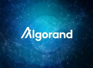 Algorand blockchain sostenibile per lo sviluppo delle dapp