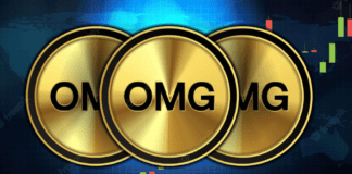 OMG Network Tecnologia Plasma per transazioni veloci