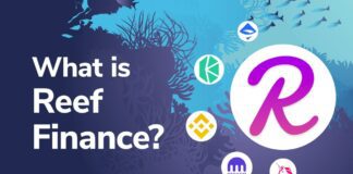 Reef finance il token DeFi in rapida crescita