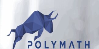 Polymath Network quello che c’è da sapere sul token.