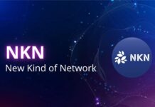 NKN protocol, protocollo open-source