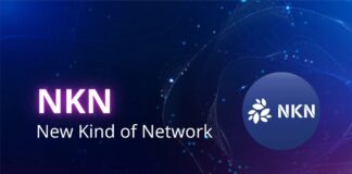 NKN protocol, protocollo open-source