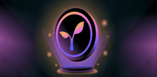 Radicle token cos’è e come funziona?