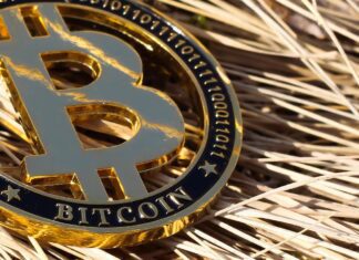 Criptomonete cosa sono?