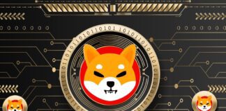 Shiba Inu in rialzo: le novità