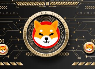 Shiba Inu in rialzo: le novità