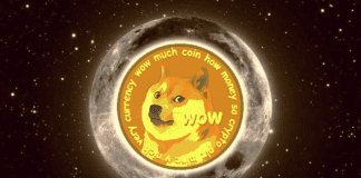 Dogecoin in salita del 10% in 24 ore Dogecoin in salita del 10%