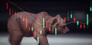 Bearish market: cos’è il mercato orso Mercato orso