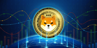 Shiba Inu in rimbalzo dopo il crollo Shiba Inu in rimbalzo dopo il crollo