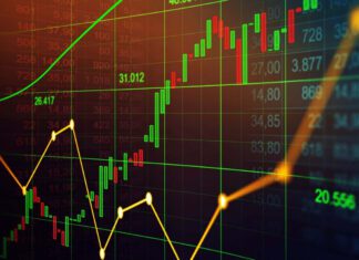 Trading forex, conoscere questo asset