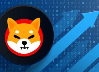 Shiba Inu al ribasso: segnali negativi Shiba Inu in calo
