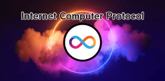 Analisi Internet Computer Protocol
