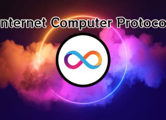 Analisi Internet Computer Protocol
