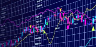 Colombe nel trading caratteristiche