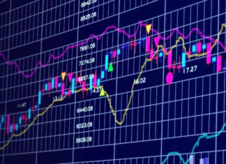 Colombe nel trading caratteristiche