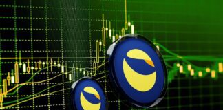 Wrapped Luna: cos’è e come funziona