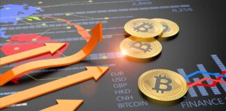 In quali criptovalute conviene investire