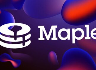 Maple crypto cos’è e come funziona