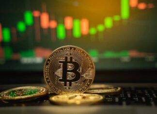 Rapporto di indebitamento nel trading