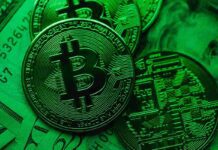 Cosa sono i faucet e come funzionano questi bitcoin? Cosa sono i Faucet