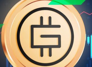 Gmt Token: cosa sono e dove poterli acquistare? GMT Token