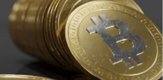 Mav Crypto: che cosa sono e come verrà utilizzato il suo protocollo? MAV Crypto