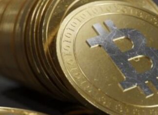 Mav Crypto: che cosa sono e come verrà utilizzato il suo protocollo? MAV Crypto