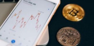 Manta Crypto: cosa sono e come funzionano? Manta Crypto: quali soluzioni offre questo progetto