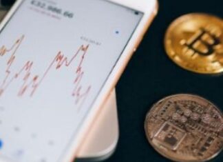 Manta Crypto: cosa sono e come funzionano? Manta Crypto: quali soluzioni offre questo progetto