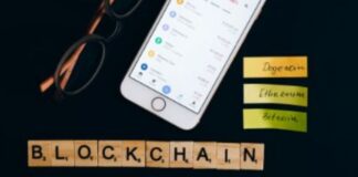 Mina Crypto: di cosa si tratta e a quanto ammonta il prezzo odierno? Mina Crypto