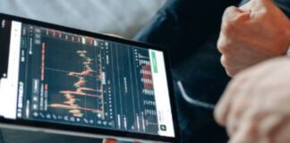 Near Crypto: cosa sono e come funzionano? Near Crypto