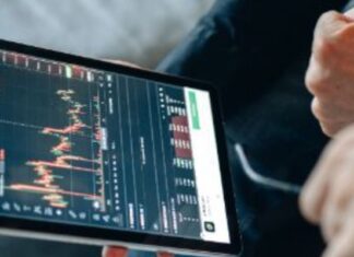 Near Crypto: cosa sono e come funzionano? Near Crypto