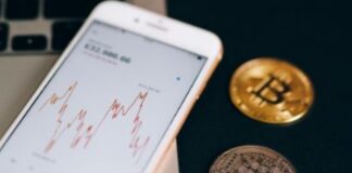 Not Crypto: cosa sono e come funzionano? Not Crypto