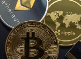 Ooky Crypto: cosa sono e quali sono i suoi casi d’uso? Ooky Crypto