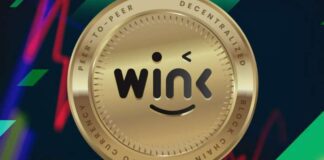 WinkLink Crypto: cosa sono e come funzionano? WinkLink Crypto: quali sono i vantaggi che forniscono